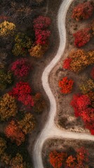 Autumn Trail Winding Path Through Vibrant Fall Foliage