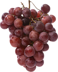 Fresh red grape bunch isolated with water drops on transparent background. Concept of organic fruit, natural diet, healthy lifestyle, antioxidants, and wellness nutrition.