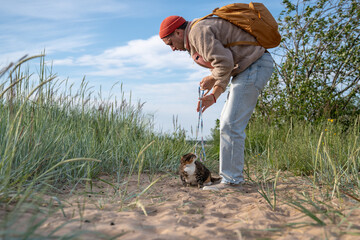 Disgruntled defensive cat watches cautiously as owner takes leash calms during sandy beach walk. Animal vigilance on strange ground, feline safety measure, animal companion reassurance in stress