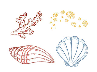 Outline set of seashell with coral and sand in hand drawn line art. Blue and red marine life in colored pencil sketch style. Great for summer card or poster design. Perfect for coastal print artwork.
