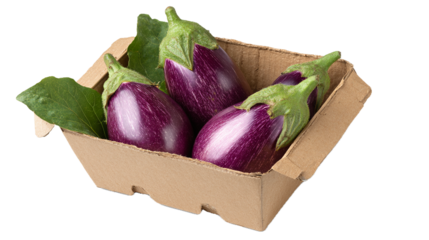 Scatola di cartone naturale a basso impatto ambientale, contenente melanzane, disposte ordinatamente. Sfondo trasparente