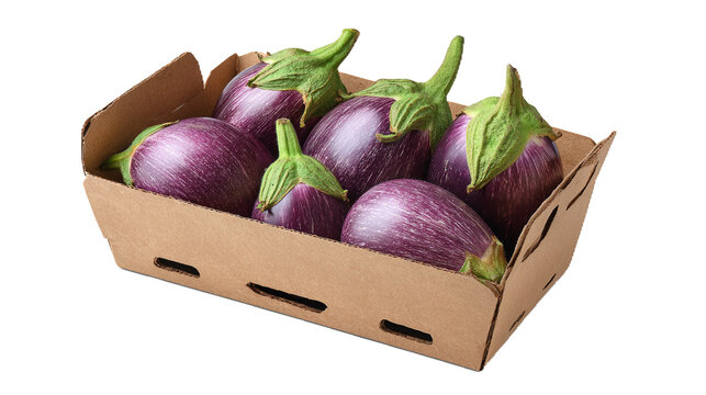 Contenitore di cartone riciclato, ecosostenibile, contenente melanzane viola. L'immagine potrebbe essere utilizzata per scopi promozionali, per presentare il prodotto su siti web. Sfondo trasparente