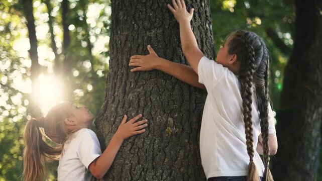 Girls hugging tree trunk together, child pressing hands to rough bark in sunlit forest park, friendship and sibling bond, nature connection and play, hug and curious exploration and girl smile