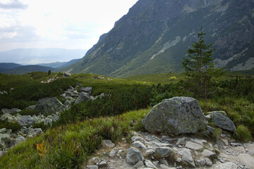 High Tatras, Slovakia,  high mountain landscape, mountains hut. Mountain landscape. European mountains Tatras mountains. Mountains tops in the clouds, blue sky. The Tatra Mountains. The tops of the mo