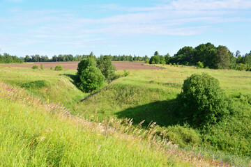 Fototapeta premium Green Valley Landscape Under Blue Sky with some trees on the hills