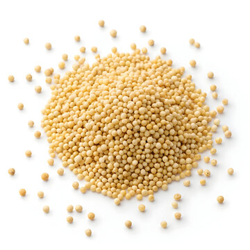 Proso millet grains isolated on white background, highlighting their small, round shape and nutritious benefits