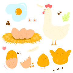 A collection of cute bird pictures