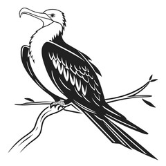 Fototapeta premium Elegant Frigatebird Perched on Branch Vector Illustration.