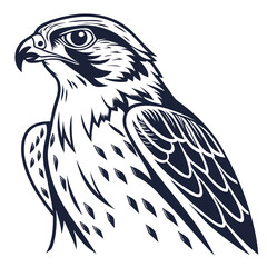 Fototapeta premium Stylized Falcon Head Vector Illustration of a Majestic Bird of Prey.
