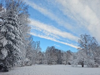 Winter wonderland scene with snow covered trees and a bright blue sky with wispy clouds above the landscape