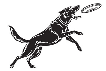 Obraz premium Black Dog Leaping to Catch Frisbee.