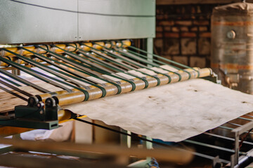 Close-up of a veneer sheet moving through a roller conveyor system in a woodworking factory, showing industrial processing equipment and material handling. © Raivo