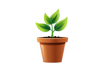 Obraz premium Small Plant In Terracotta Pot