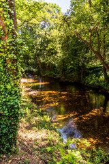 Rio Negro en Luarca, Asturias, España.