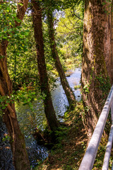 Rio Negro en Luarca, Asturias, España.