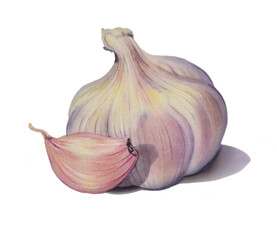 Airbrush Illustration aus den 1990er Jahren, Knoblauch Knolle und eine Zehe