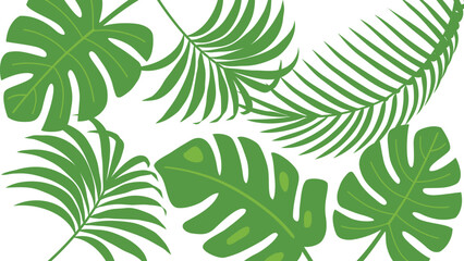Tropical Leaf Background. Summer Palm Tree Leaf. Nature Color. Hand Drawn Vector Illustration. Greeting Card Design Template. Decoration Concept © 22