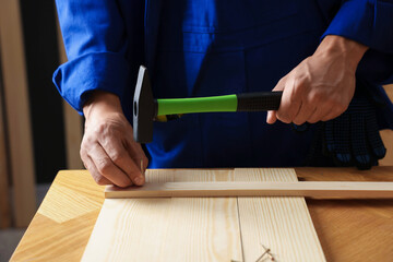 Professional repairman hammering nail into wooden plank indoors, closeup