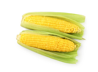 Two tasty boiled corncobs isolated on white, top view