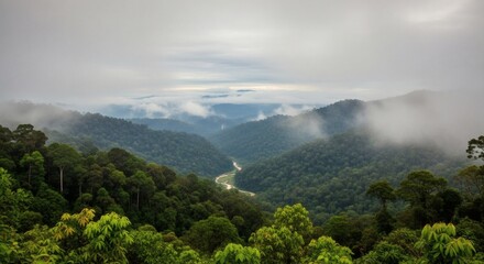 Obraz premium Misty rainforest valley with a winding river and rolling hills