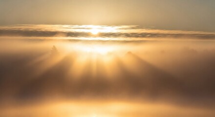 Sunbeams pierce fog over silhouetted trees at dawn