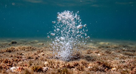 Underwater view of air bubbles rising from the seabed