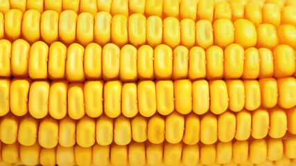 macro of dry corn on the cob