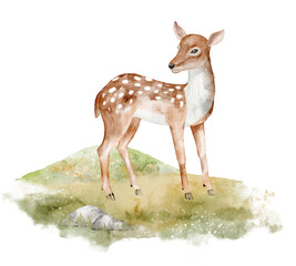 Watercolor illustration of Fawn standing in meadow with forest background. Drawing of Deer on grass for nursery Posters. Art of woodland animal for autumn greeting cards or baby invitations