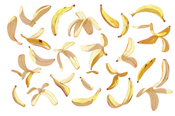 Scattered Banana Peels