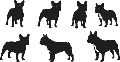 Set of French Bulldog Silhouettes in Different Standing Positions, High‑Quality Vector Clipart for Pet Designs, Logos, Illustrations, Branding