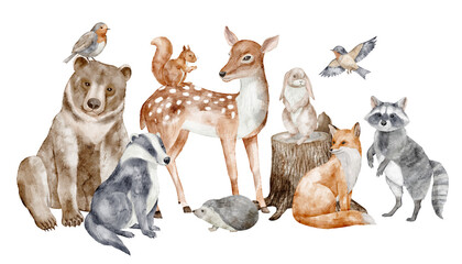 Watercolor illustration of Forest Animals including bear, deer, fox, raccoon, squirrel, bird, hedgehog and badger. Drawing of woodland autumn composition for nursery poster or childish cards © Alisles