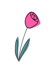 Illustration of pink tulips