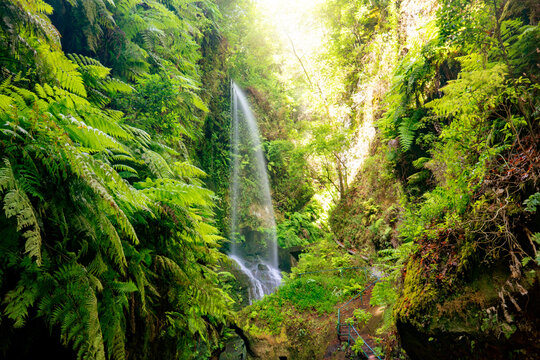 Los Tilos Waterfall, La Palma, Canary Islands