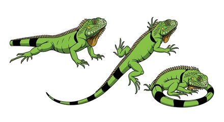 Fototapeta premium Animated green iguanas in various poses on a stark white background