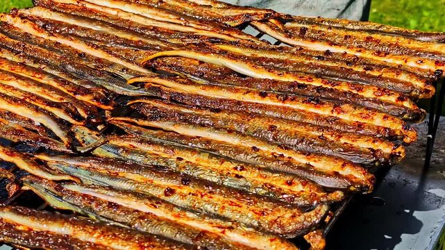 Smoked Lamprey fish prepared to be grilled eels ancient jawless primitive species Baltic country