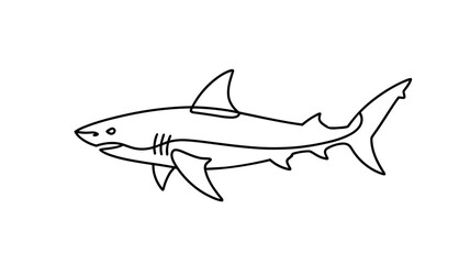 Shark Minimal Line Art Ocean Animal Illustration