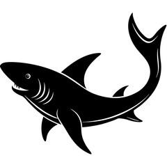 shark vector illustration