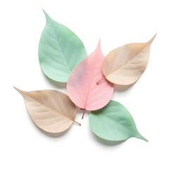 Delicate Pastel Skeleton Leaves Isolated on White