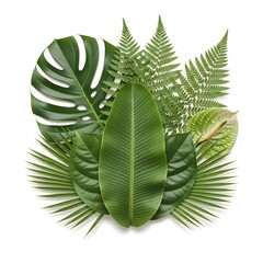 Lush Tropical Foliage and Anthurium Flower Composition