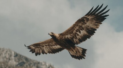 Fototapeta premium majestic eagle soaring gracefully through a cloudy sky, symbolizing freedom