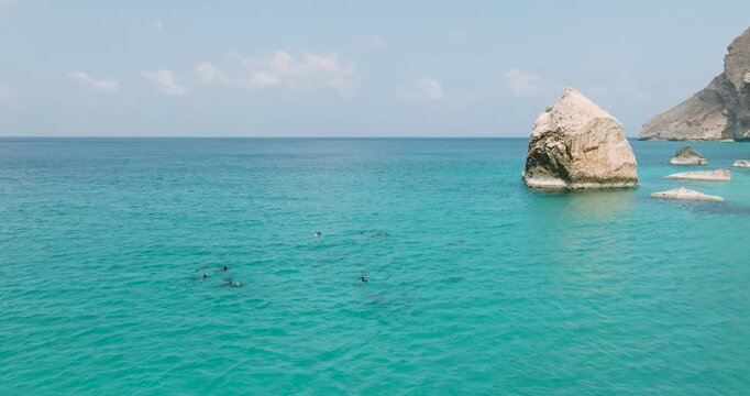 Aerial view of turquoise waters surrounding rocky outcrops and swimming dolphins at Shoab Beach, a tranquil scene of natural beauty, Shoab Beach, Socotra, Yemen.