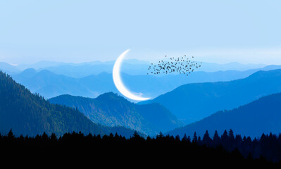 Fototapety na wymiar - Fototapeta24.pl