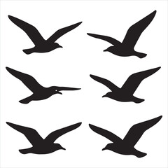 Vector set of bird silhouettes flying in black and white design
