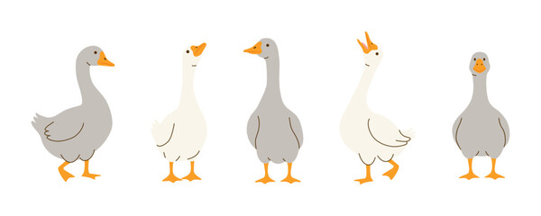Five cute geese in various poses on a white background.