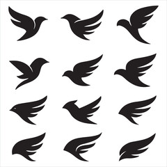 Fototapeta premium Vector set of bird wings and black silhouettes of flying birds