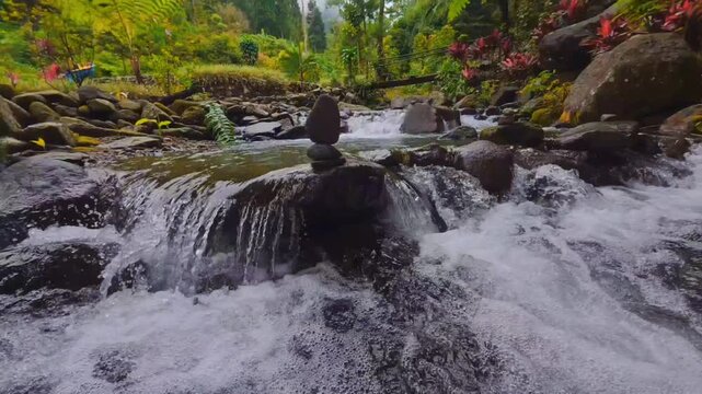 Rushing water stream cascading over rocks in the woods