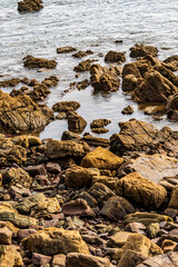 Paisaje en Candas, Asturias, España.