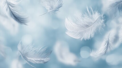 Soft white feathers drifting across pale blue surface, conveying delicate lightness and serene calm with ethereal, minimalist composition