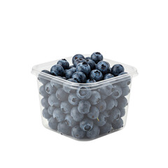 Fresh Blueberries in Clear Plastic Container Product Shot