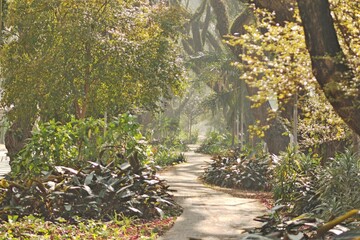 Various vegetation and trees on a boulevard in a city street. Morning light slightly blurred by smoke.